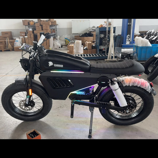 Latest 60V50Ah Hybrid Ebike Step Over All Weather Mountain ports Balance Dirt E-Bike