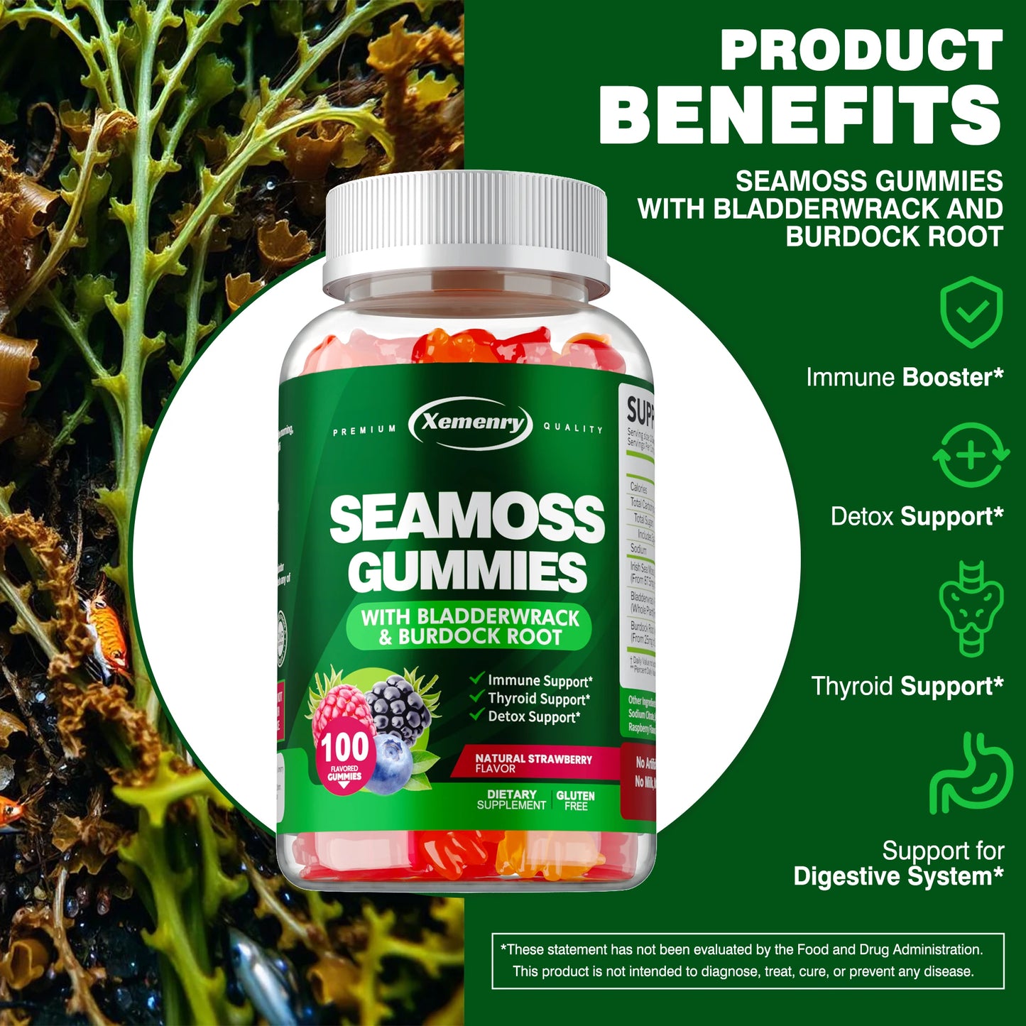 SEAMOSS - Contains Burdock Root and Bladderwrack Seaweed To Enhance Intestinal Health and Immunity - 100 Gummies