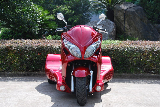 Custom Trike Scooter