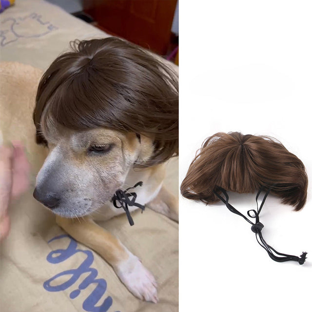 NEW Pet Wigs Cosplay Props COS Funny Dogs Cats Cross-Dressing Hair Hat Head Accessories For Halloowen Christmas Pets Supplies