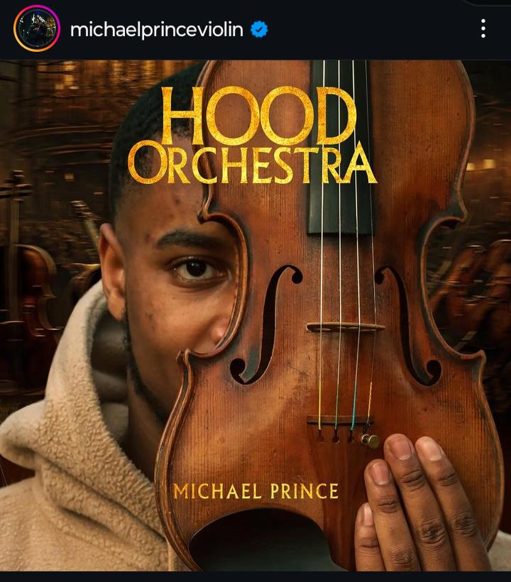 🎻MPV “Michael Prince Violin” BRAND 🏪