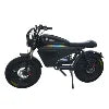 Latest 60V50Ah Hybrid Ebike Step Over All Weather Mountain ports Balance Dirt E-Bike