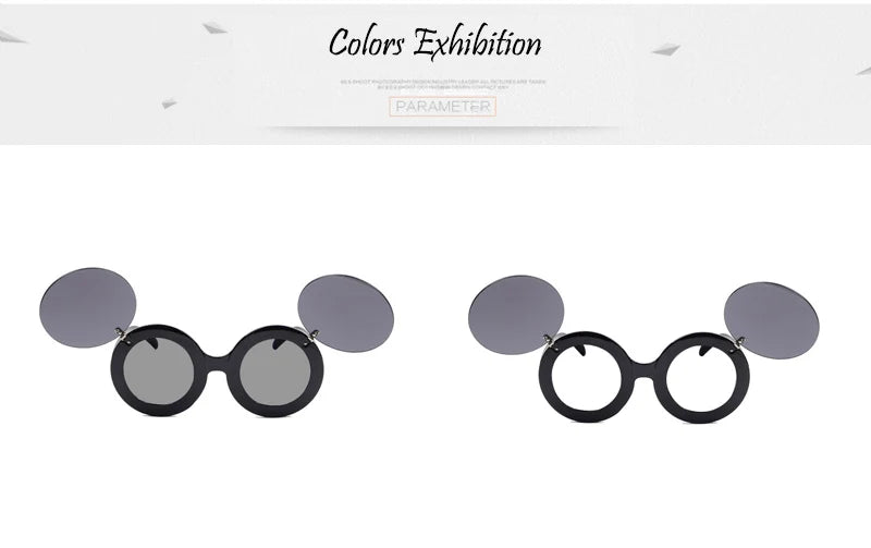 Classic Chic Popular Lady Flip Sunglasses Women