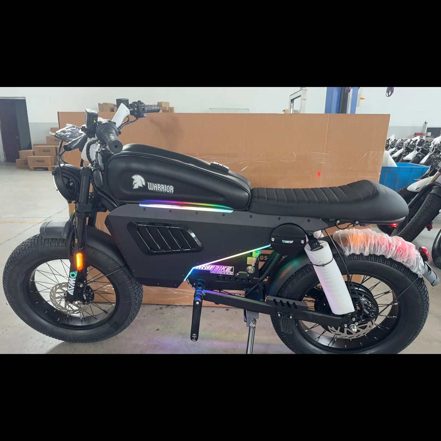 Latest 60V50Ah Hybrid Ebike Step Over All Weather Mountain ports Balance Dirt E-Bike