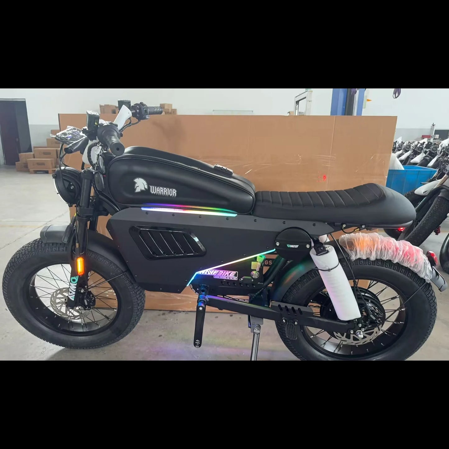 Latest 60V50Ah Hybrid Ebike Step Over All Weather Mountain ports Balance Dirt E-Bike