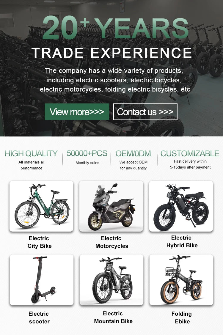 STLF Practical Electric Mountain Fatbike 20-Inch Fat Tire Electric Dirt Electric Bicycle