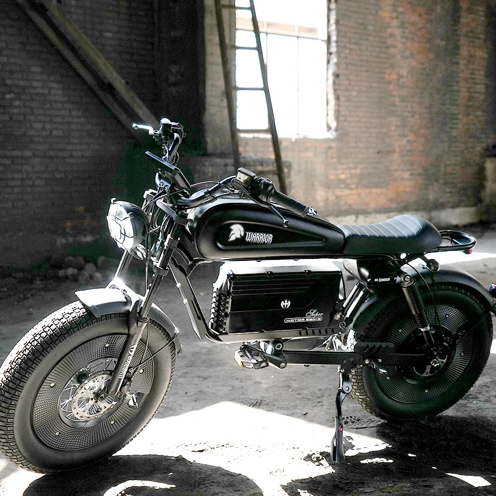 ZPW Black Warrior 1500W Motorbikes 48V 60AH Ebike Adult 20 inch Off-road Fat Tyre Electric Bike 3000w