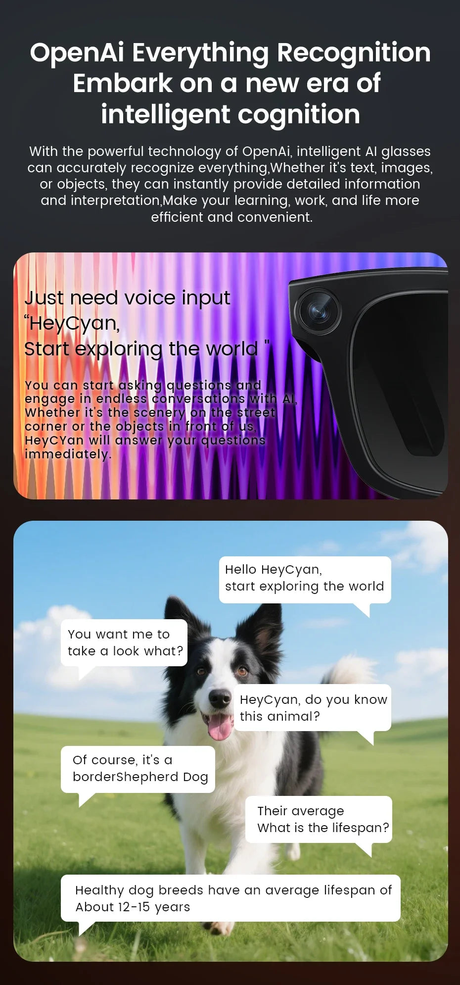 New AI SmartGlasses 800W HD Camera AI Translation Shooting Everything Recognition 4GB Storage 300mah SmartGlasses Men Women