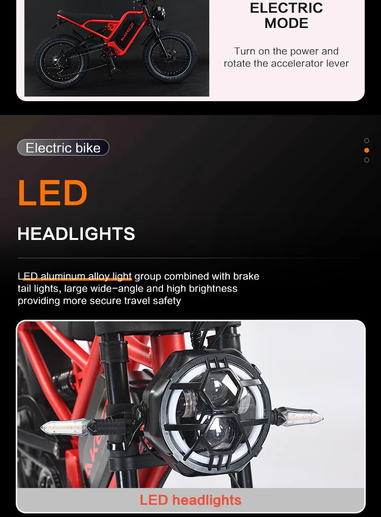 STLF Practical Electric Mountain Fatbike 20-Inch Fat Tire Electric Dirt Electric Bicycle