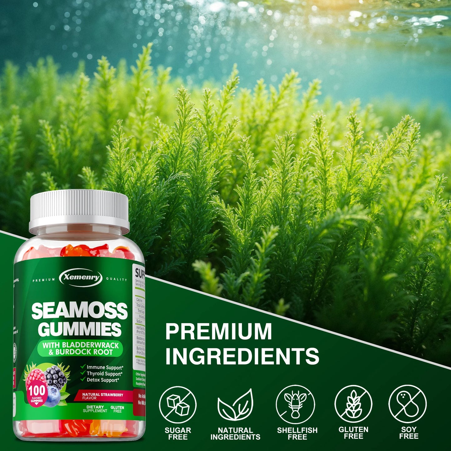 SEAMOSS - Contains Burdock Root and Bladderwrack Seaweed To Enhance Intestinal Health and Immunity - 100 Gummies