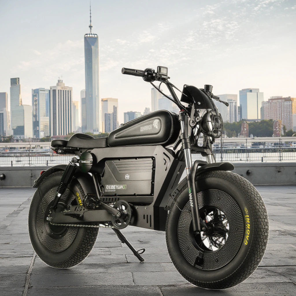 ZPW Black Warrior 1500W Motorbikes 48V 60AH Ebike Adult 20 inch Off-road Fat Tyre Electric Bike 3000w