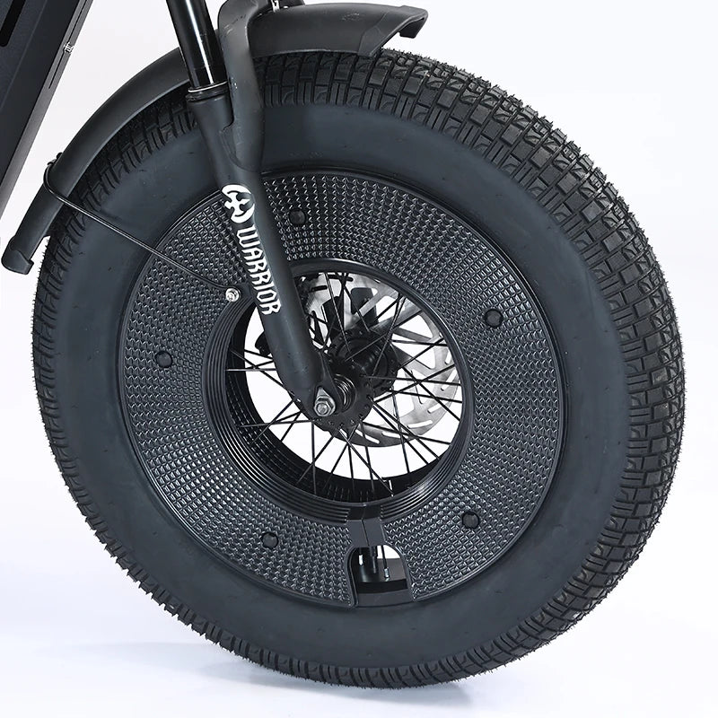 ZPW Black Warrior 1500W Motorbikes 48V 60AH Ebike Adult 20 inch Off-road Fat Tyre Electric Bike 3000w