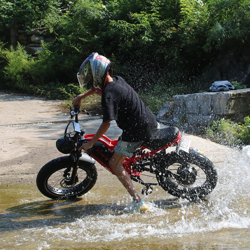 STLF Practical Electric Mountain Fatbike 20-Inch Fat Tire Electric Dirt Electric Bicycle