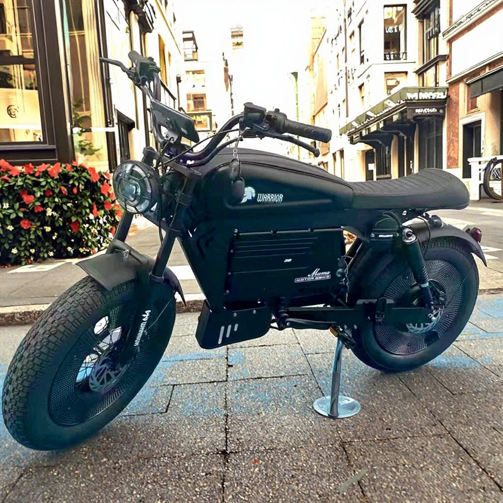 ZPW Black Warrior 1500W Motorbikes 48V 60AH Ebike Adult 20 inch Off-road Fat Tyre Electric Bike 3000w