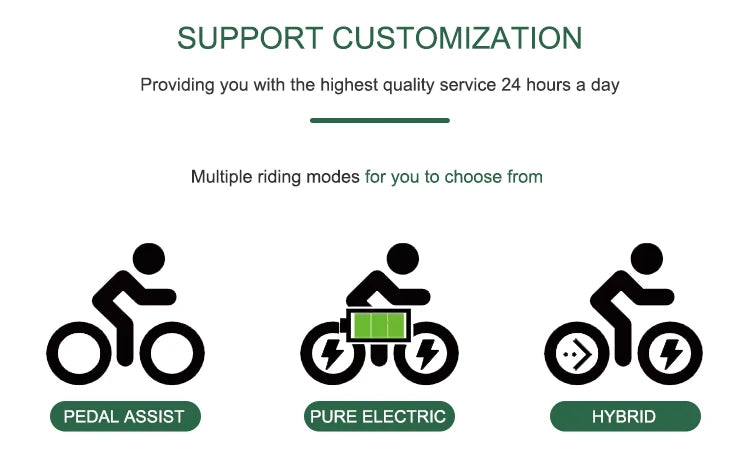 STLF Practical Electric Mountain Fatbike 20-Inch Fat Tire Electric Dirt Electric Bicycle