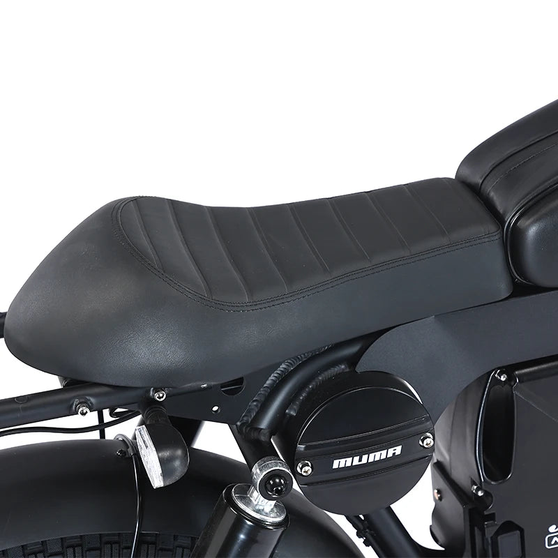 ZPW Black Warrior 1500W Motorbikes 48V 60AH Ebike Adult 20 inch Off-road Fat Tyre Electric Bike 3000w