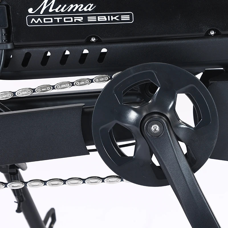 ZPW Black Warrior 1500W Motorbikes 48V 60AH Ebike Adult 20 inch Off-road Fat Tyre Electric Bike 3000w