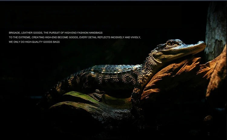 Genuine Leather crocodile pattern travel luggage with handbag backpack men's first layer cowhide trolley suitcase boarding case