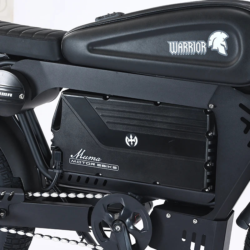 ZPW Black Warrior 1500W Motorbikes 48V 60AH Ebike Adult 20 inch Off-road Fat Tyre Electric Bike 3000w