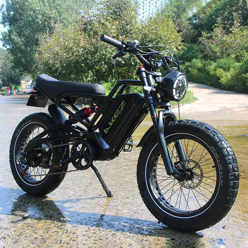 STLF Practical Electric Mountain Fatbike 20-Inch Fat Tire Electric Dirt Electric Bicycle