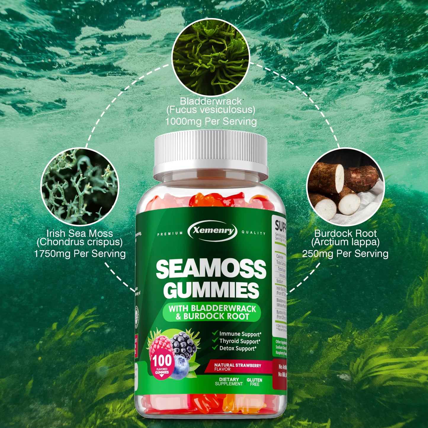 SEAMOSS - Contains Burdock Root and Bladderwrack Seaweed To Enhance Intestinal Health and Immunity - 100 Gummies