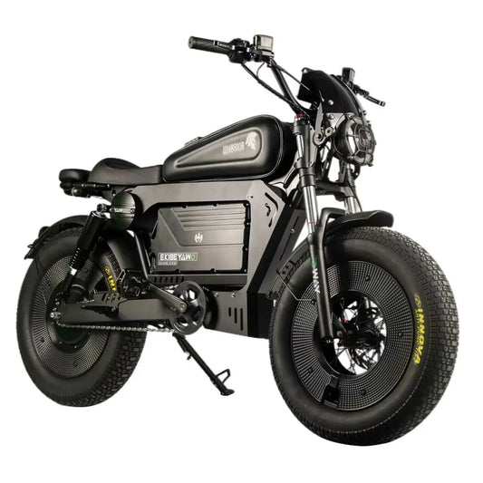 ZPW Black Warrior 1500W Motorbikes 48V 60AH Ebike Adult 20 inch Off-road Fat Tyre Electric Bike 3000w