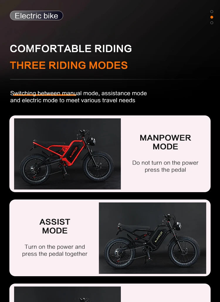 STLF Practical Electric Mountain Fatbike 20-Inch Fat Tire Electric Dirt Electric Bicycle