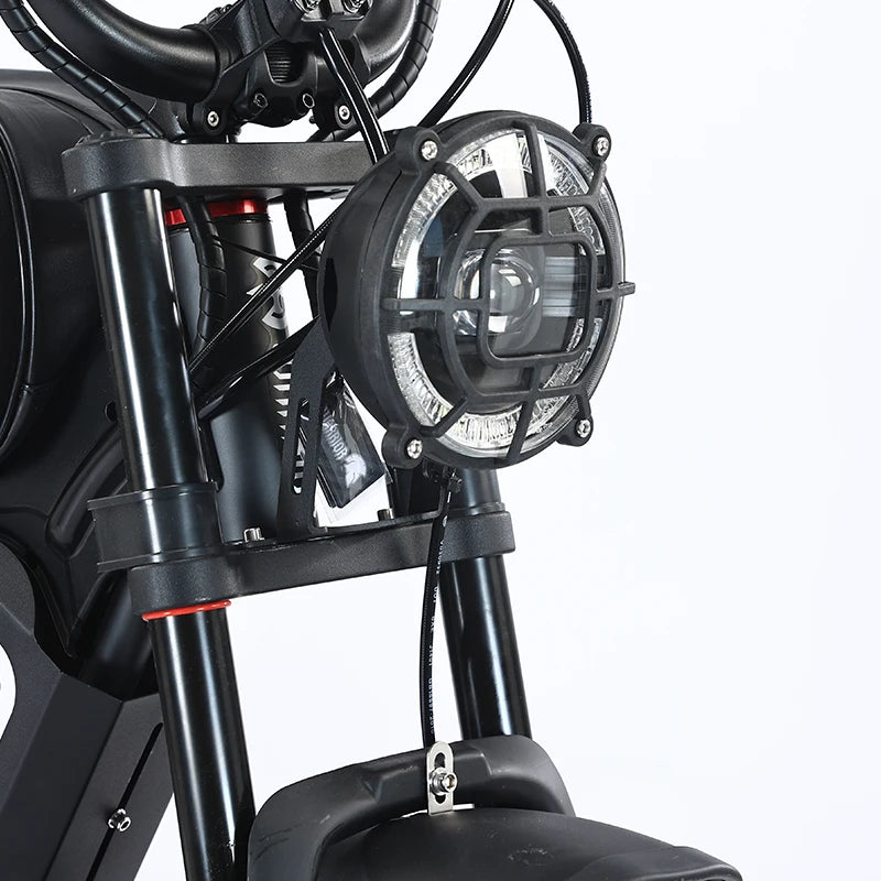 ZPW Black Warrior 1500W Motorbikes 48V 60AH Ebike Adult 20 inch Off-road Fat Tyre Electric Bike 3000w