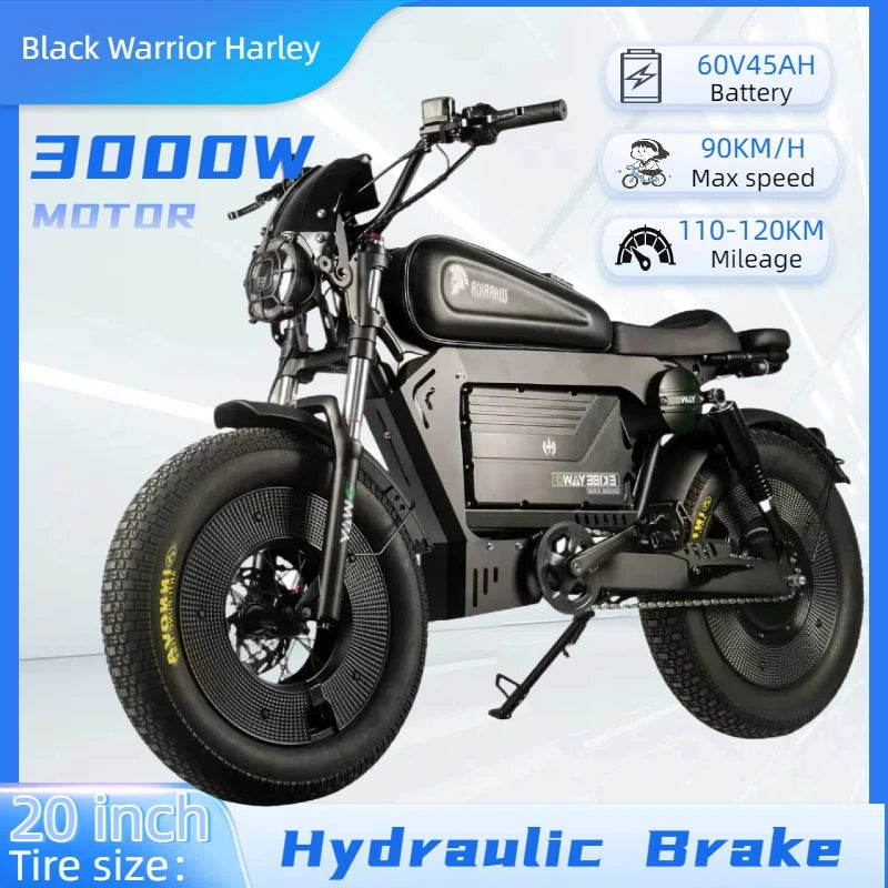 ZPW Black Warrior 1500W Motorbikes 48V 60AH Ebike Adult 20 inch Off-road Fat Tyre Electric Bike 3000w