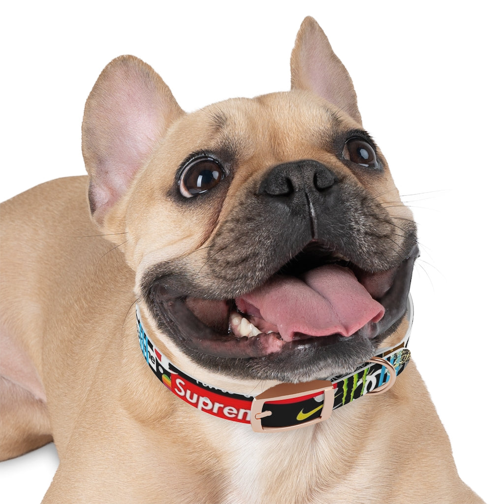 Multi Branded" Dog Collar