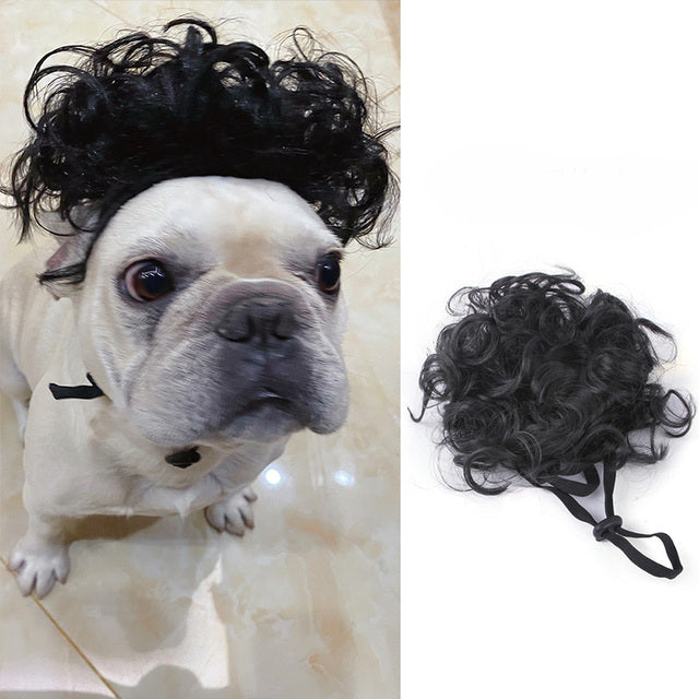 NEW Pet Wigs Cosplay Props COS Funny Dogs Cats Cross-Dressing Hair Hat Head Accessories For Halloowen Christmas Pets Supplies